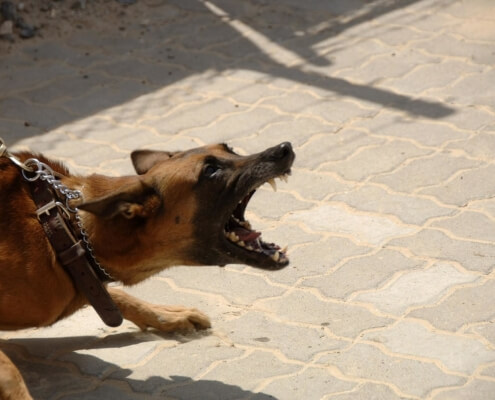 Liability Insurance Lacey, WA