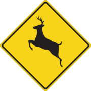 How to lower your risk for a deer collision