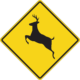 How to lower your risk for a deer collision