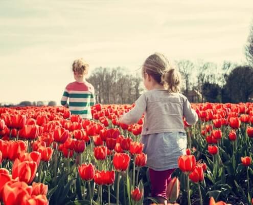 Spring Activities to Consider in Lacey, Washington