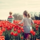 Spring Activities to Consider in Lacey, Washington
