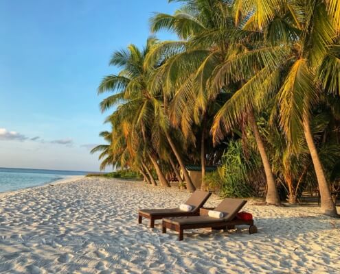 Temporary Insurance Policies in All Insurance Inc. in Lacey, Washington